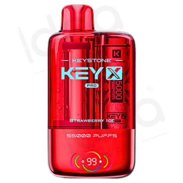 Keystone Key X Pro 55K Kit | 55,000 Puffs