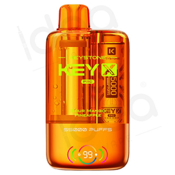 Keystone Key X Pro 55K Kit | 55,000 Puffs