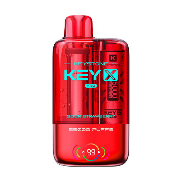 Keystone Key X Pro 55K Kit | 55,000 Puffs