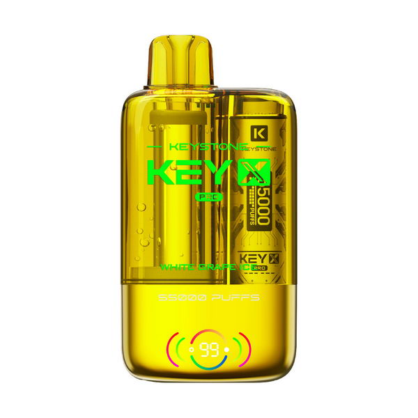 Keystone Key X Pro 55K Kit | 55,000 Puffs