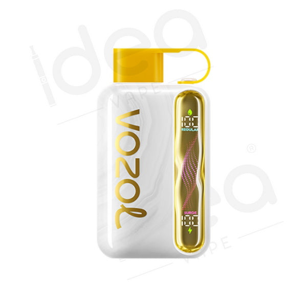 Vozol Star 40K Pod Vape Kit | 1000mAh Battery | 20 Flavours