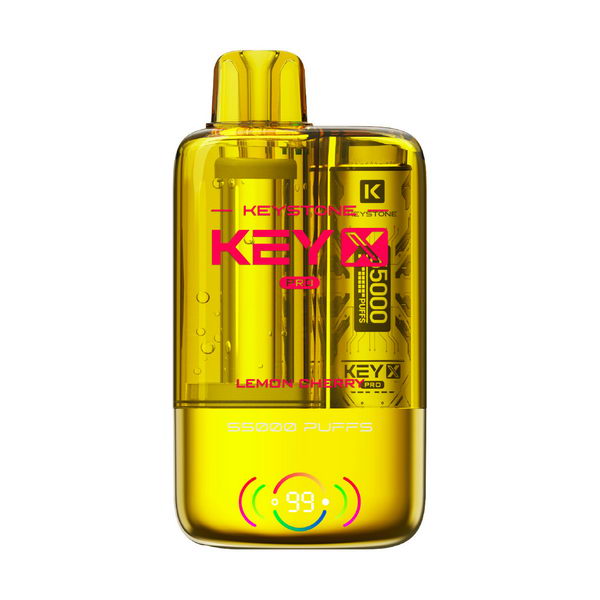 Keystone Key X Pro 55K Kit | 55,000 Puffs
