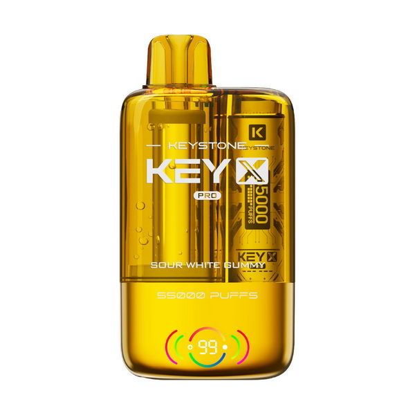 Keystone Key X Pro 55K Kit | 55,000 Puffs
