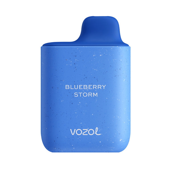 Vozol Star 4000 Disposable Vape Kit - Blueberry Storm 