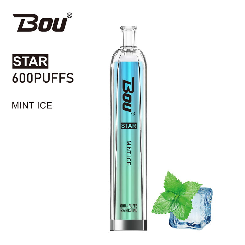 Bou Star 600 Disposable Vape Kit - Mint Ice - Idea Vape